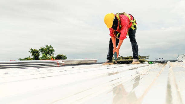 Best Sheet Metal Roofing  in Milton, PA